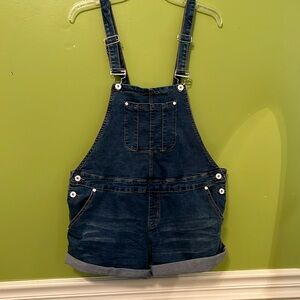 EUC Listicle Denim Overall Shorts